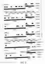 Fig. 17 - Polynucleotide probe and primer derived from hepatitis E virus recovered from japanese, chip including the same, kit including the same, and method of detecting hepatitis E virus genome using the same