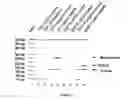 Fig. 03 - Method and kit for the diagnosis or treatment control of intestinal carcinoma