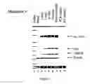 Fig. 09 - Method and kit for the diagnosis or treatment control of intestinal carcinoma
