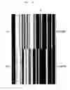 Fig. 05 - Method and nucleic acids for the analysis of a colon cell proliferative disorder