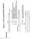 Fig. 02 - Nucleic acid amplification