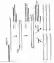 Fig. 06 - Nucleic acid amplification