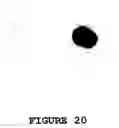 Fig. 28 - Methods for the chemical and physical modification of nanotubes, methods for linking the nanotubes, methods for the directed positioning of nanotubes, and uses thereof