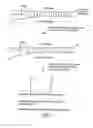 Fig. 02 - DNA sequence analysis