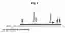 Fig. 03 - Method of synthesizing cDNA