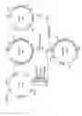 Fig. 05 - α-1,3-fucosyltransferase