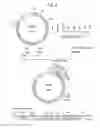 Fig. 06 - α-1,3-fucosyltransferase