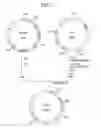 Fig. 12 - α-1,3-fucosyltransferase