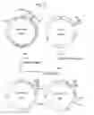 Fig. 28 - α-1,3-fucosyltransferase