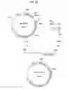 Fig. 29 - α-1,3-fucosyltransferase