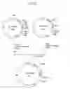 Fig. 33 - α-1,3-fucosyltransferase