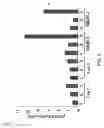 Fig. 09 - RNA expression profile predicting response to tamoxifen in breast cancer patients