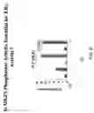 Fig. 17 - RNA expression profile predicting response to tamoxifen in breast cancer patients