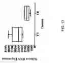 Fig. 24 - RNA expression profile predicting response to tamoxifen in breast cancer patients