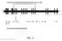 Fig. 02 - Method for the detection of predisposition to high altitude pulmonary edema