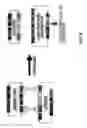Fig. 03 - Method for generating variable domain sequences of heavy chain antibodies