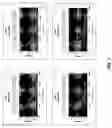 Fig. 04 - Method for generating variable domain sequences of heavy chain antibodies