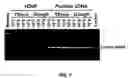 Fig. 10 - Method for generating variable domain sequences of heavy chain antibodies