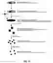 Fig. 28 - Method for generating variable domain sequences of heavy chain antibodies