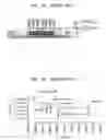 Fig. 03 - Method of electrically detecting biomolecule