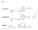 Fig. 05 - Switch-region: target and method for inhibition of bacterial RNA polymerase