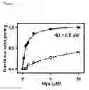 Fig. 08 - Switch-region: target and method for inhibition of bacterial RNA polymerase