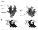 Fig. 11 - Switch-region: target and method for inhibition of bacterial RNA polymerase