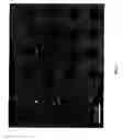 Fig. 02 - In situ analysis of tissues
