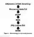 Fig. 02 - Transcriptional profiling of stem cells and their multilineage differentiation