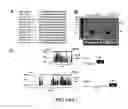 Fig. 02 - Micro-RNA's that regulate muscle cells