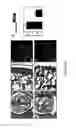 Fig. 06 - Micro-RNA's that regulate muscle cells