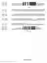 Fig. 22 - Micro-RNA's that regulate muscle cells