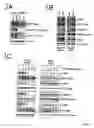 Fig. 04 - Method for predicting responsiveness to drugs