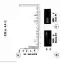 Fig. 06 - HNRPLL polypeptides, polynucleotides encoding same and compositions and methods of using same