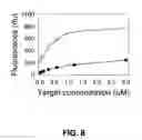 Fig. 09 - Polynucleotide detection method employing self-reporting dual inversion probes