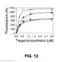 Fig. 13 - Polynucleotide detection method employing self-reporting dual inversion probes