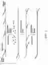 Fig. 02 - Method for rapid amplification of DNA