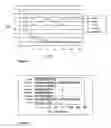 Fig. 04 - Non-competitive immunoassay for small analytes
