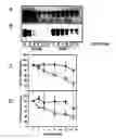 Fig. 01 - ALS-specific peptide composition