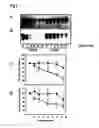 Fig. 02 - ALS-specific peptide composition