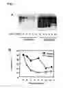 Fig. 03 - ALS-specific peptide composition