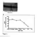 Fig. 07 - ALS-specific peptide composition