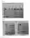 Fig. 04 - Monomeric streptavidin muteins