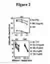 Fig. 03 - Gamma delta t cell-mediated therapy