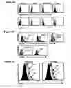 Fig. 04 - Gamma delta t cell-mediated therapy