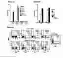 Fig. 07 - Gamma delta t cell-mediated therapy