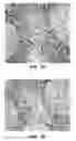 Fig. 03 - Antibody conjugates