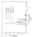 Fig. 23 - Antibody conjugates