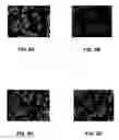 Fig. 06 - Nanoparticle conjugates