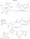 Fig. 16 - Nanoparticle conjugates